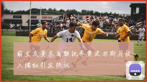 前女友要求高额抚养费皮尔斯月收入揭秘引发热议